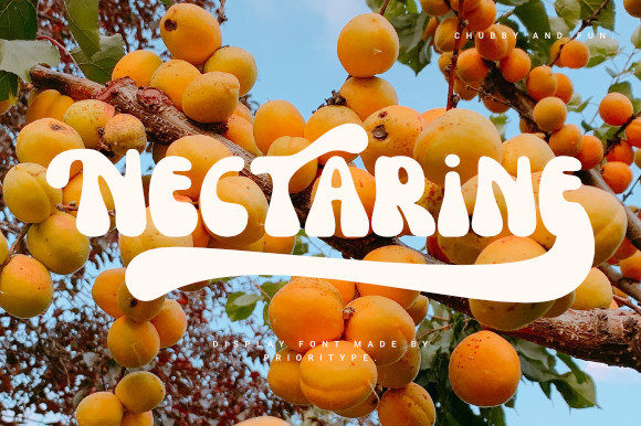 Nectarine Font: A Retro Revival for Modern Design