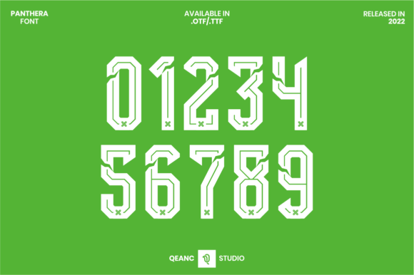 Panthera: A Modern Typographic Statement for Sports and Beyond